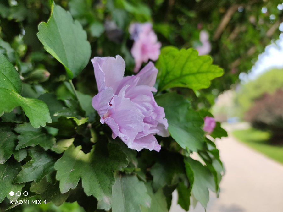 小米mix4屏幕深度评测,小米11ultra与mix4比较