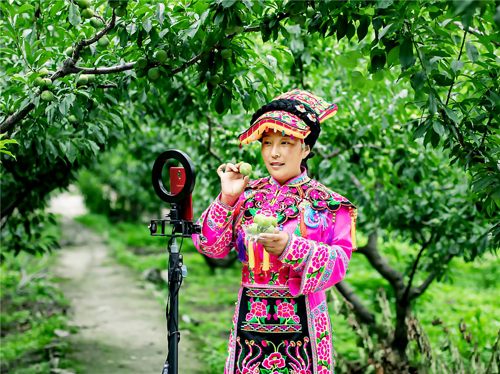 茂县刘平巧,四川茂县李子销售