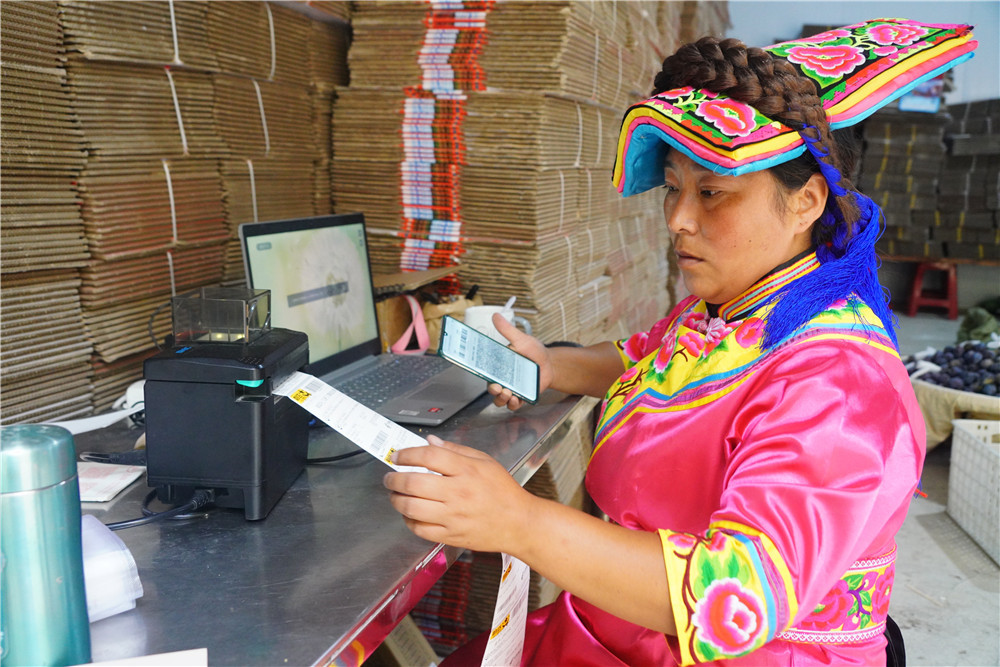 茂县刘平巧,四川茂县李子销售