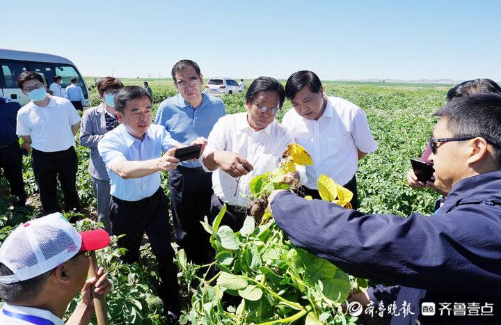 深壹点丨希森马铃薯产业集团：20年坚守小土豆长出大产业
