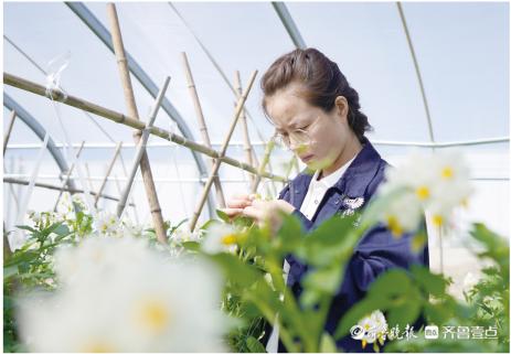 深壹点丨希森马铃薯产业集团：20年坚守小土豆长出大产业