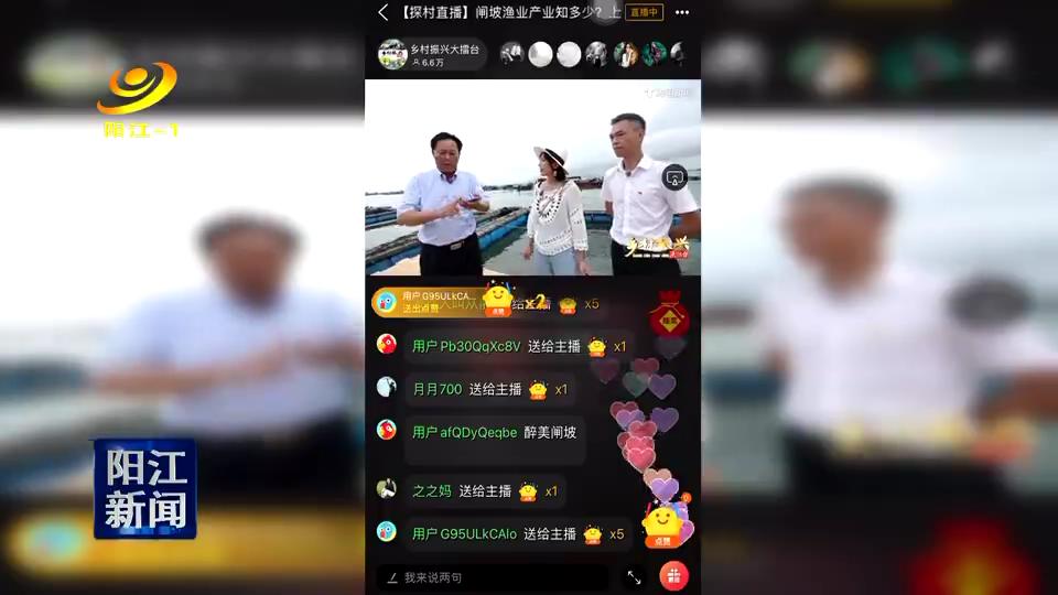 珠江台乡村振兴大擂台直播,广东乡村振兴大擂台十强决赛结果