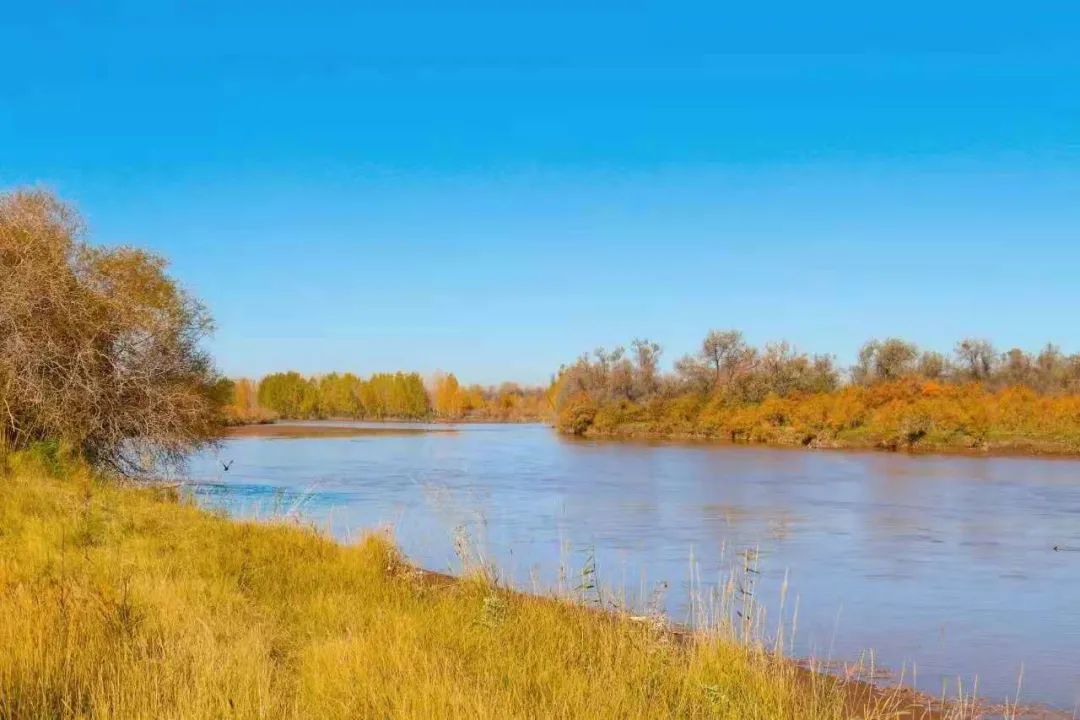 诗词名句赏析凉州诗,凉州古诗词中的诗意