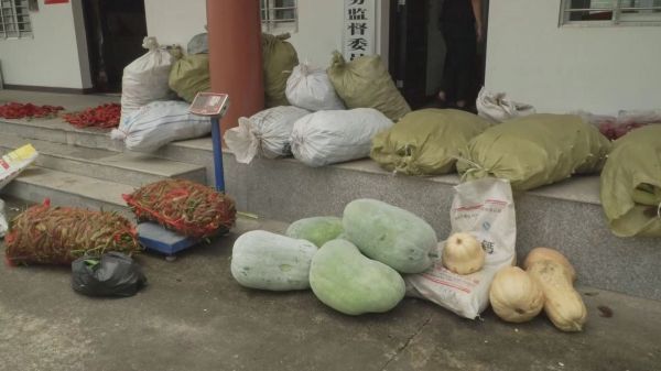 急!漳河镇40万斤果蔬急盼销路