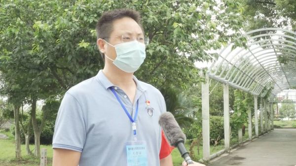 急!漳河镇40万斤果蔬急盼销路