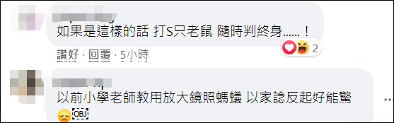 香港蜗牛撒盐新闻,香港一博士向蜗牛撒盐