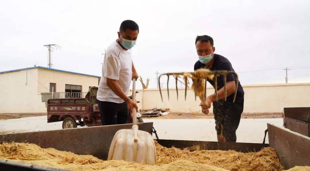 两优一先的概念,两优一先起源