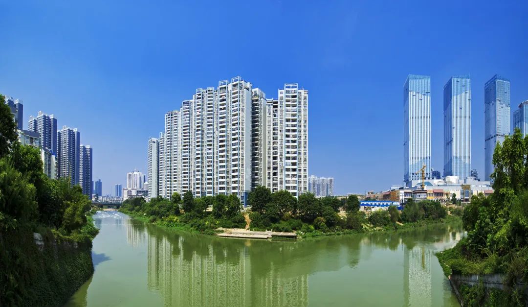 青秀区百强,青秀区百强区历年排行