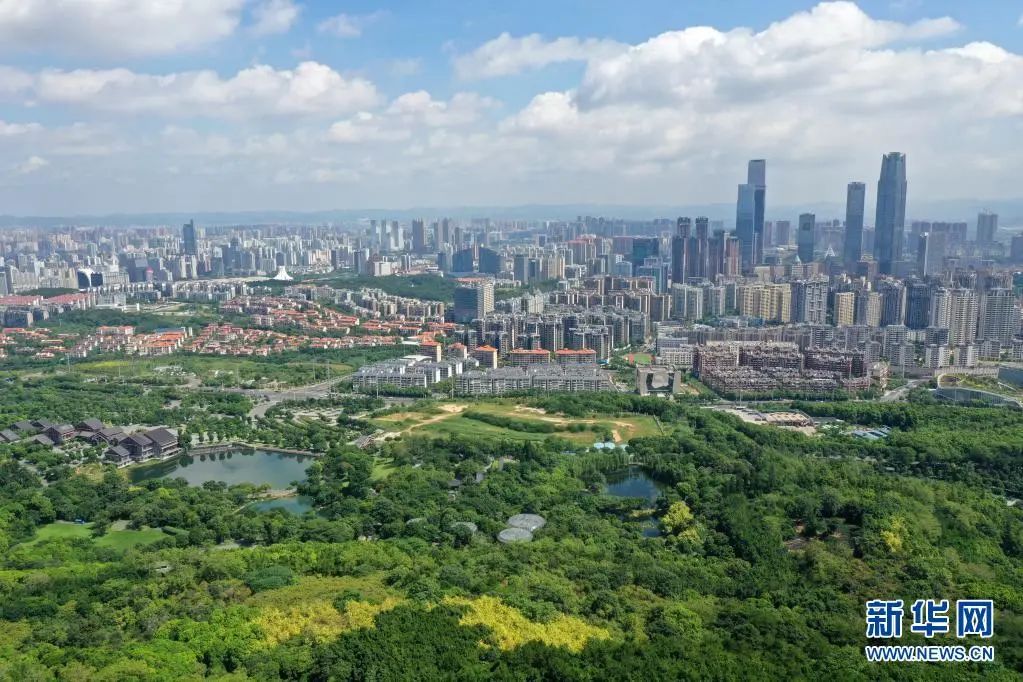 青秀区百强,青秀区百强区历年排行