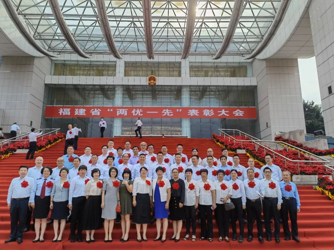 “医”路同行——致敬生命守护者