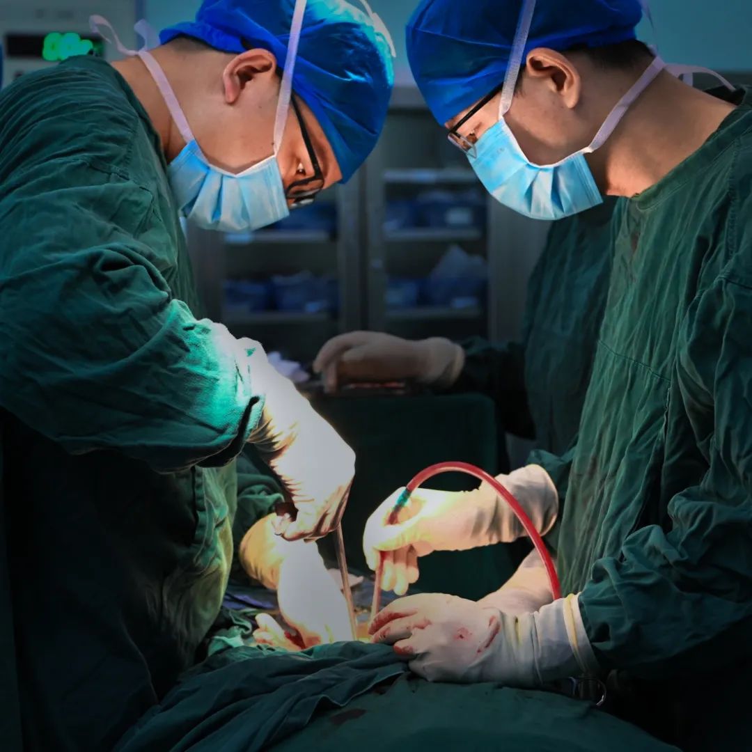 “医”路同行——致敬生命守护者