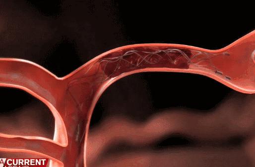 “医”路同行——致敬生命守护者