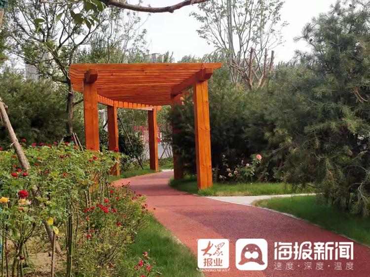 转角遇到美！“口袋公园”让聊城既有高度又有温度