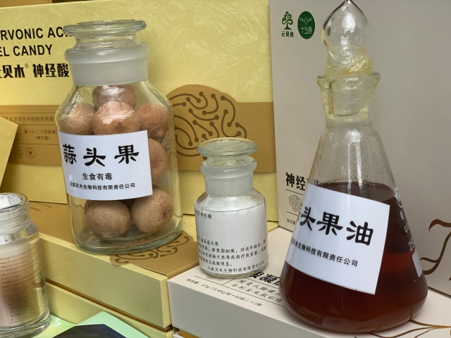 一棵历经千年的特殊树种,成了广南村民的“致富树”