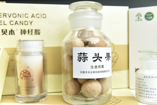 一棵历经千年的特殊树种,成了广南村民的“致富树”