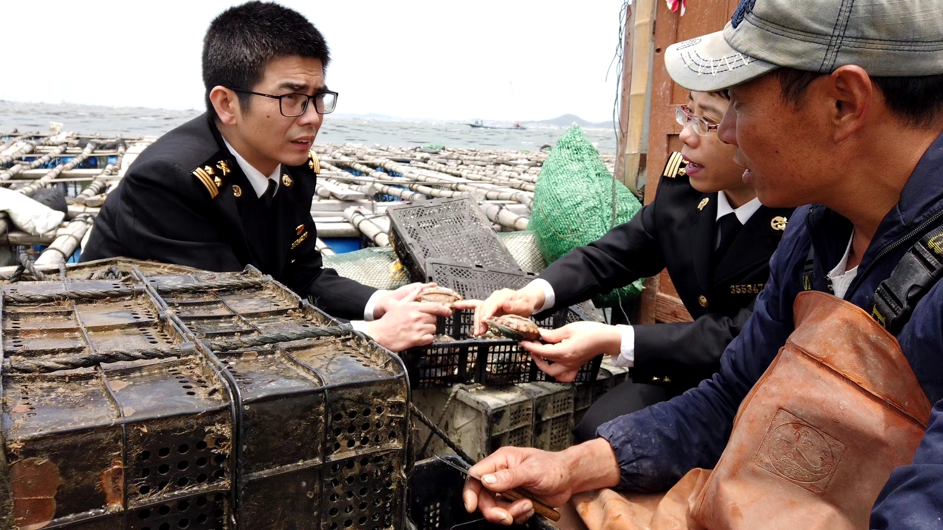 1314赋能，莆田鲍鱼产品出口检测合格率达100％