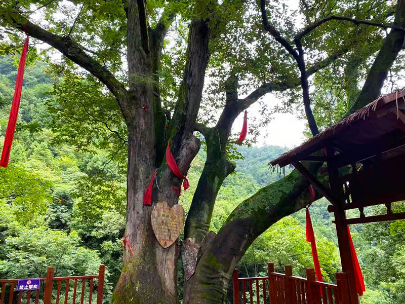 湖北省十堰市美丽乡村建设名单,十堰美丽乡村名单