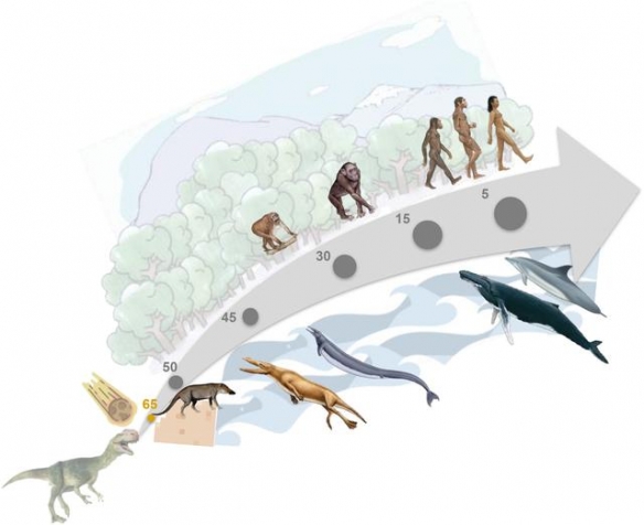 古巴变性手术,去国外做变性手术需要什么手续