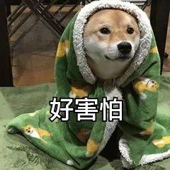 半岛聚焦|你的“手持身份证照片”，可能正在被交易！个人信息保护法将严打这些行为