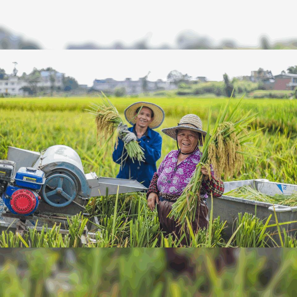 黑油砂加超白磨砂效果,黑油沙土优缺点