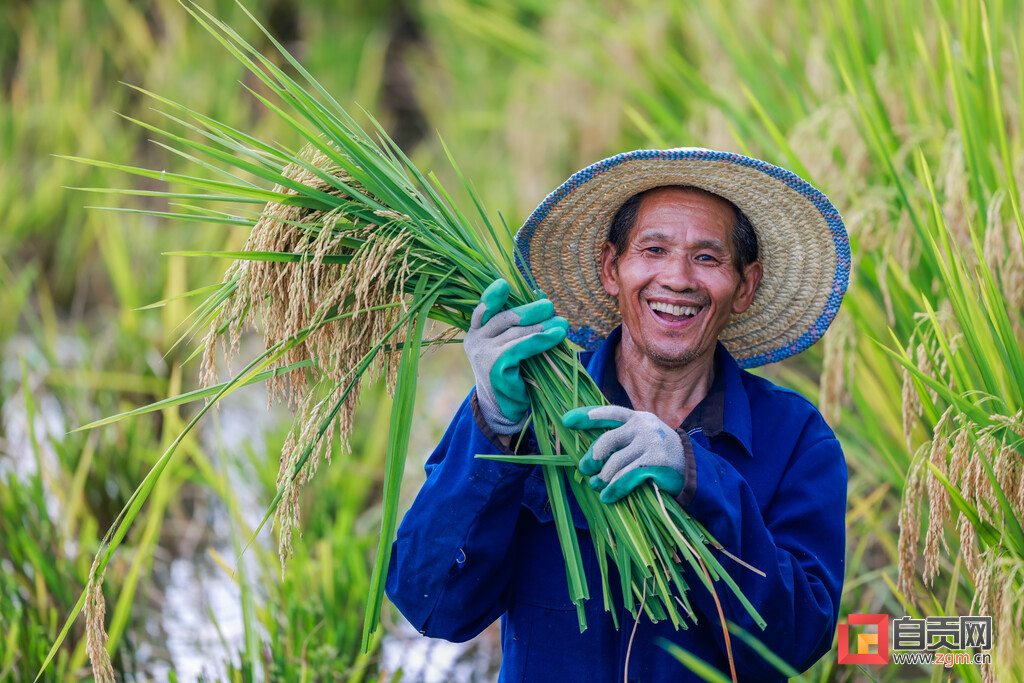 黑油砂加超白磨砂效果,黑油沙土优缺点