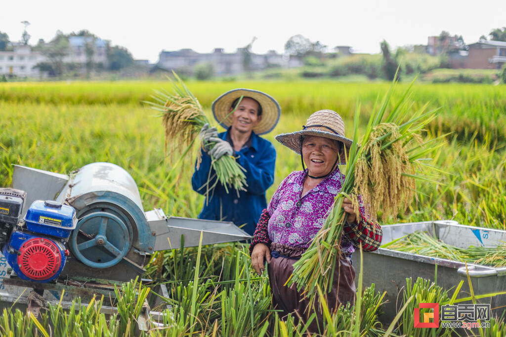 黑油砂加超白磨砂效果,黑油沙土优缺点