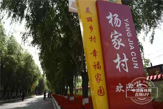 美丽乡村建设与民宿发展感悟,美丽乡村建设与民宿