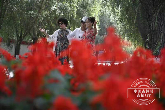 美丽乡村建设与民宿发展感悟,美丽乡村建设与民宿