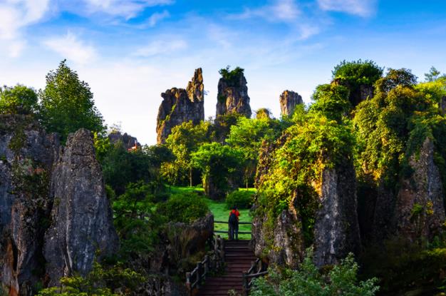 赓红续绿让华蓥山“亮”起来