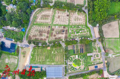 广州海珠区农田园,广州大都市农业园