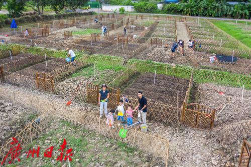 广州海珠区农田园,广州大都市农业园