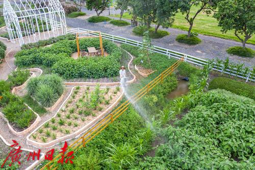 广州海珠区农田园,广州大都市农业园