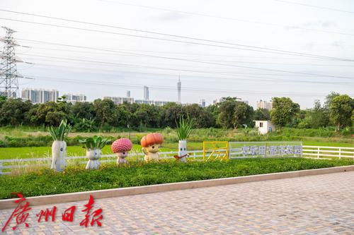 广州海珠区农田园,广州大都市农业园