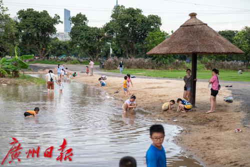 广州海珠区农田园,广州大都市农业园