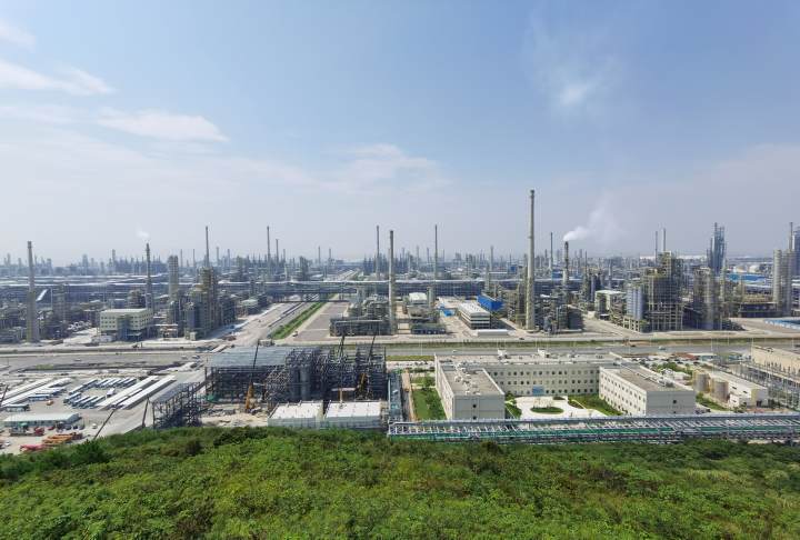 浙石化原油,绿巨人中海油东方石化