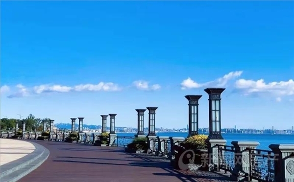 城阳百强企业排名,青岛城阳区各区的发展