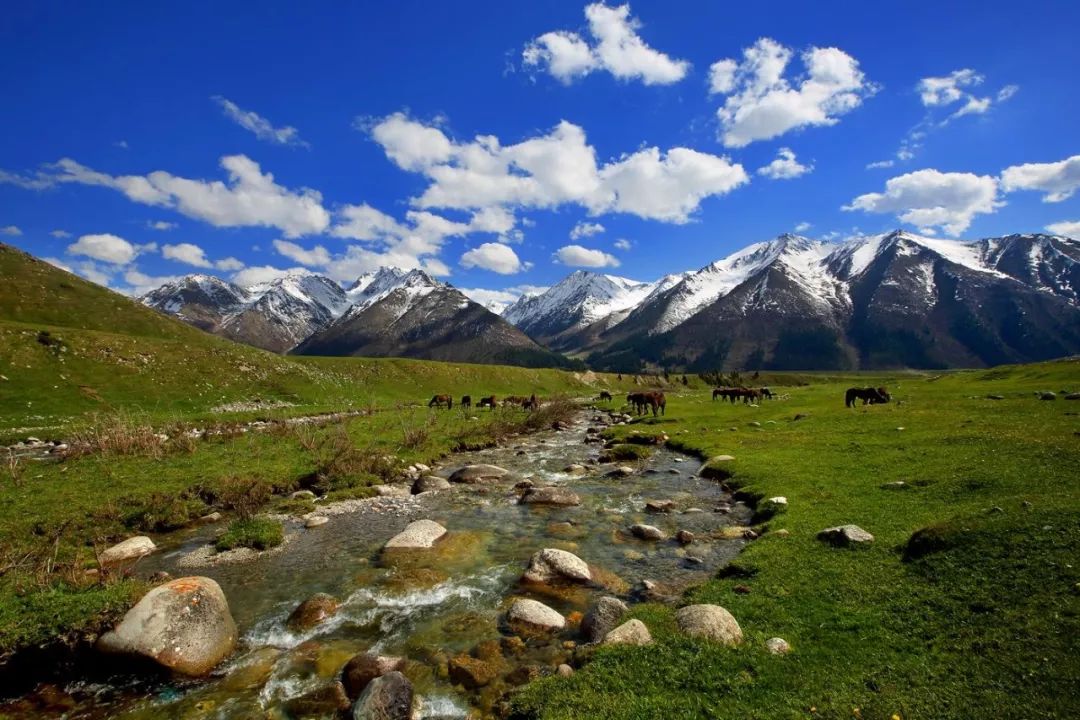 徐兆寿中国文化,徐兆寿作品西行悟道