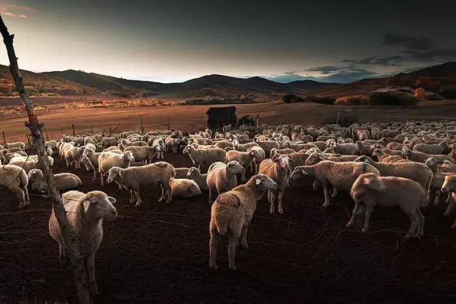 徐兆寿中国文化,徐兆寿作品西行悟道