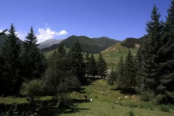 徐兆寿中国文化,徐兆寿作品西行悟道