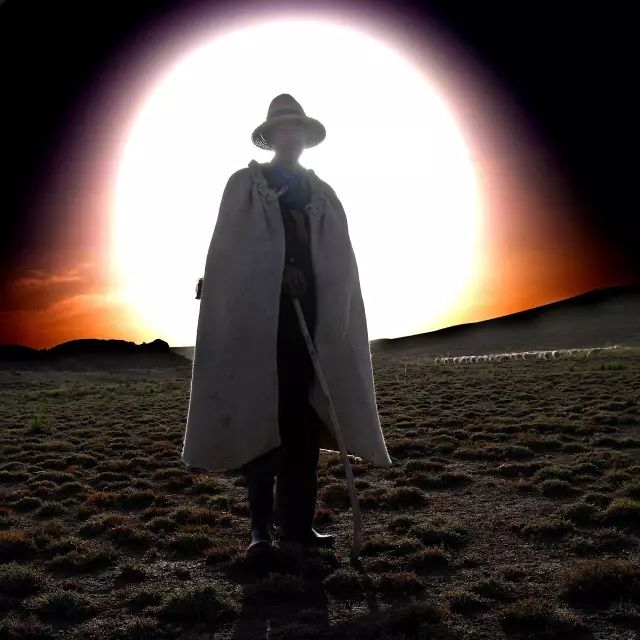 徐兆寿中国文化,徐兆寿作品西行悟道