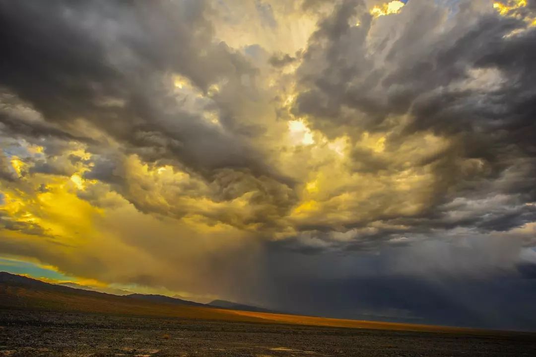 徐兆寿中国文化,徐兆寿作品西行悟道