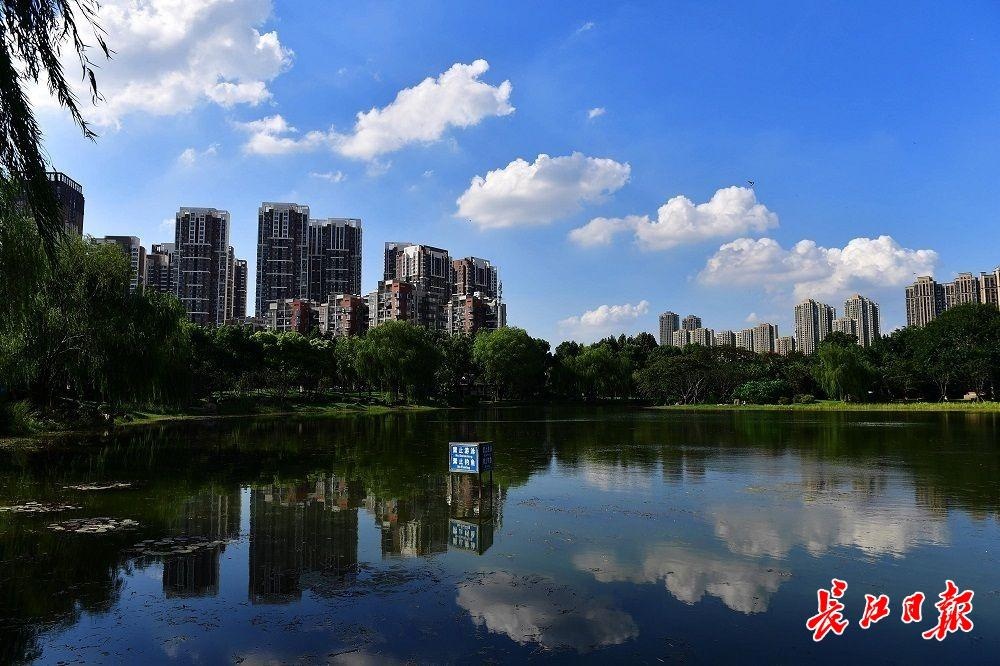 武汉上空飞机看武汉,看武汉高楼的地方