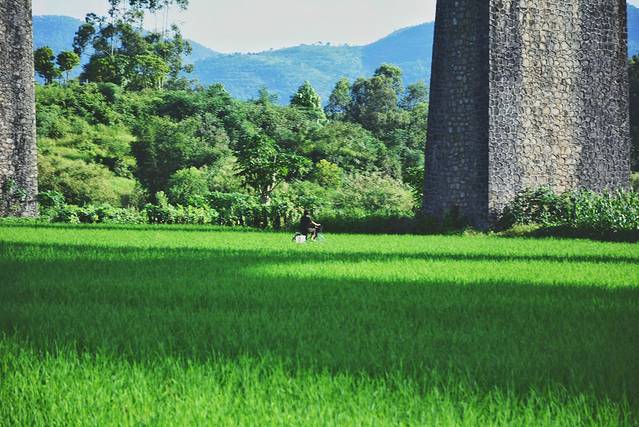 路过人间无非一瞬间歌曲,路过人间无非一瞬间舞蹈