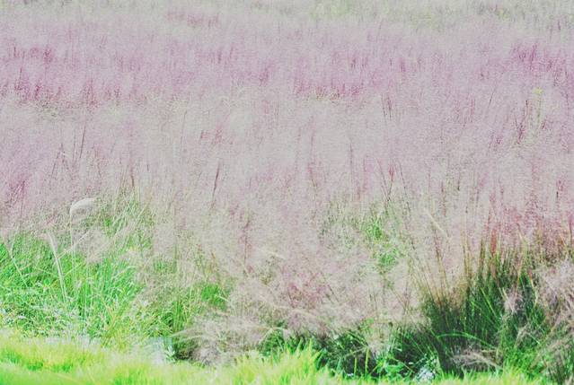 路过人间无非一瞬间歌曲,路过人间无非一瞬间舞蹈