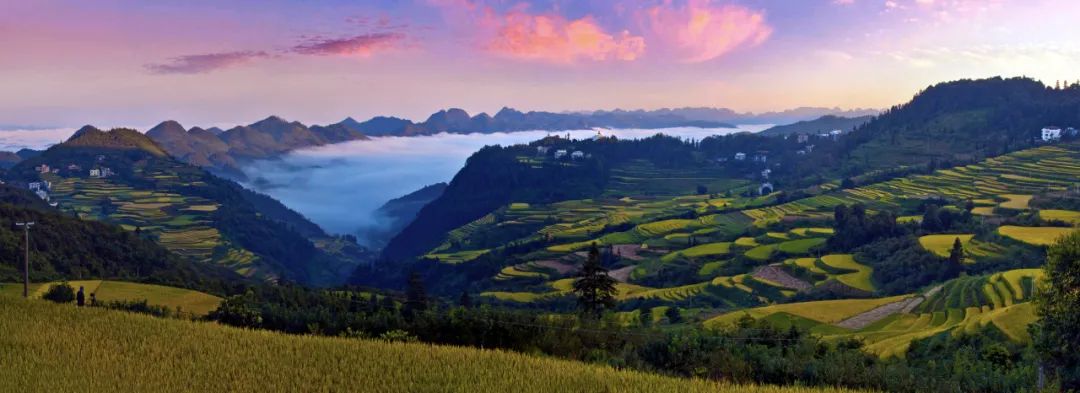 龙华区龙桥镇扶贫项目,龙华资助紫金学校