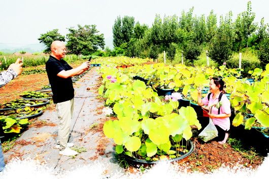 社区为残疾老人发放轮椅,社区为残疾老人送去轮椅