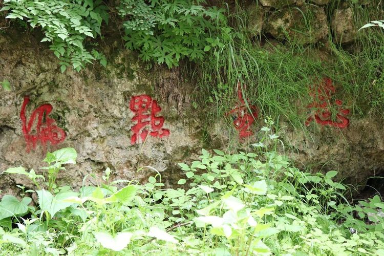 在远方丨和政滴珠山陇原泉城成因探秘