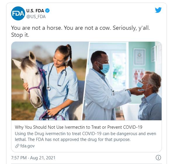 外媒亚马逊最新消息,最新伊维菌素消息谣言