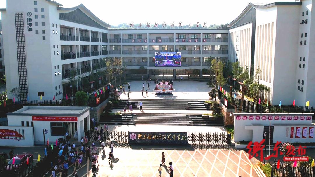 芙蓉花开向阳春,广州新塘芙蓉花开汇美