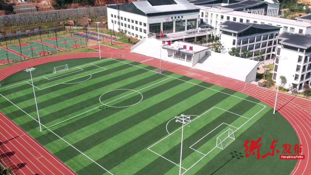 芙蓉花开向阳春,广州新塘芙蓉花开汇美